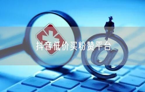 抖音低价买粉赞平台