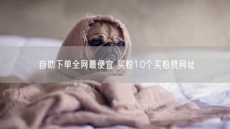 自助下单全网最便宜 买粉10个买粉赞网址
