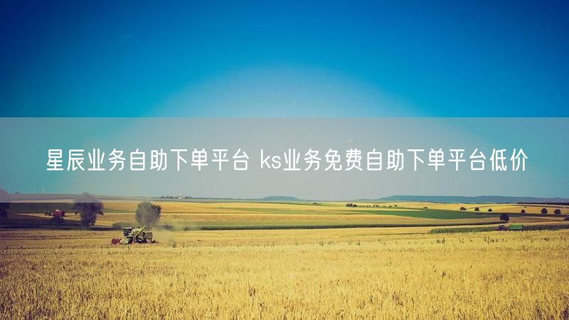 星辰业务自助下单平台 ks业务免费自助下单平台低价