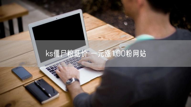ks僵尸粉低价 一元涨100粉网站