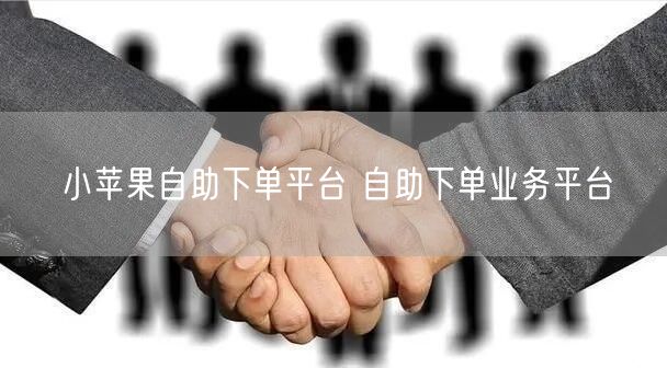 小苹果自助下单平台 自助下单业务平台
