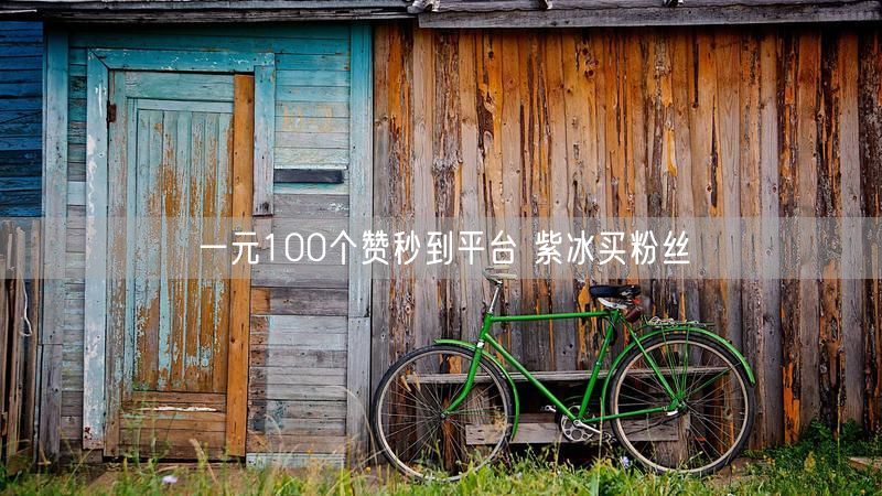 一元100个赞秒到平台 紫冰买粉丝