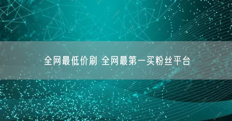 全网最低价刷 全网最第一买粉丝平台