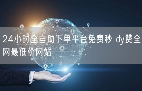 24小时全自助下单平台免费秒 dy赞全网最低价网站