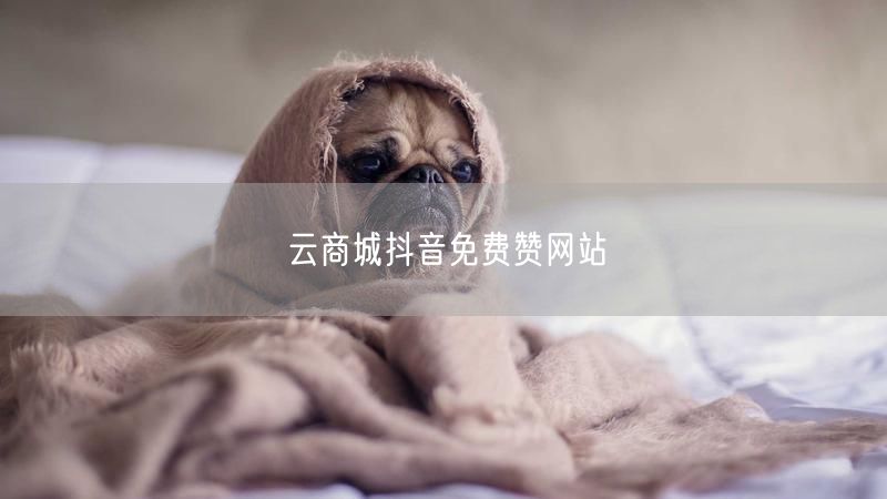云商城抖音免费赞网站