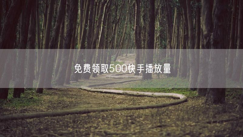 免费领取500快手播放量
