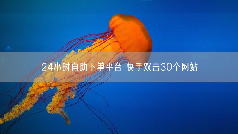 24小时自助下单平台 快手双击30个网站