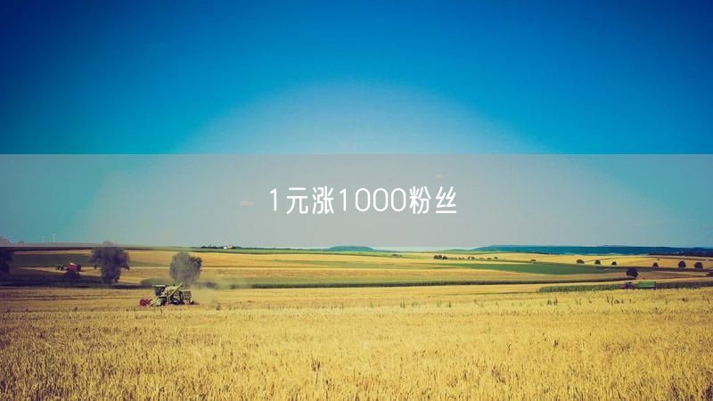 1元涨1000粉丝
