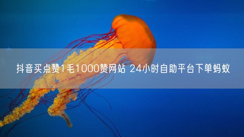 抖音买点赞1毛1000赞网站 24小时自助平台下单蚂蚁
