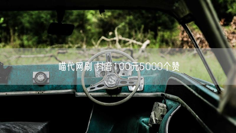 喵代网刷 抖音100元5000个赞