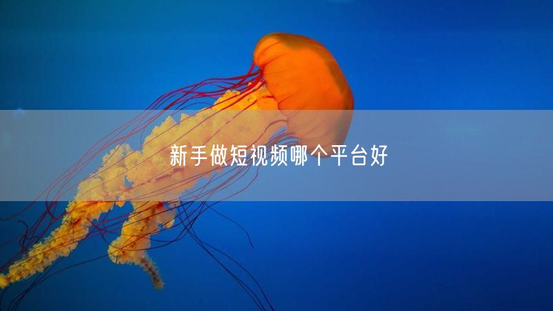 新手做短视频哪个平台好