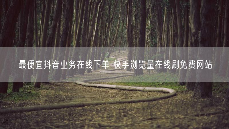 最便宜抖音业务在线下单 快手浏览量在线刷免费网站