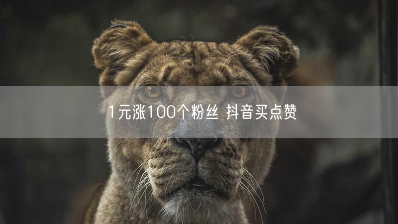 1元涨100个粉丝 抖音买点赞