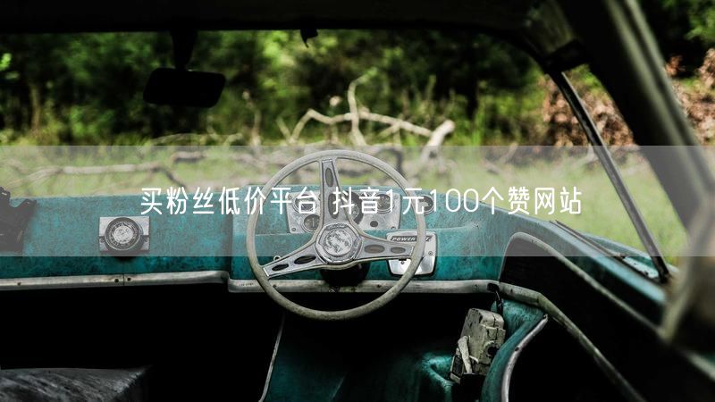 买粉丝低价平台 抖音1元100个赞网站