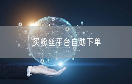 买粉丝平台自助下单