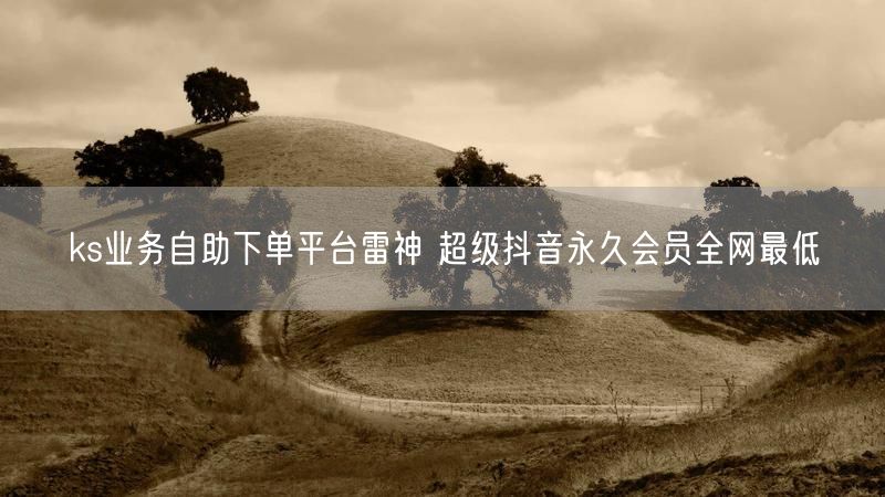 ks业务自助下单平台雷神 超级抖音永久会员全网最低