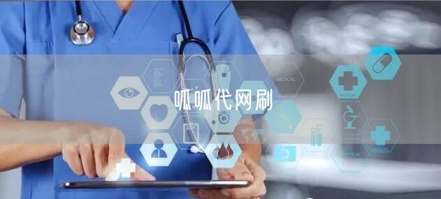 呱呱代网刷