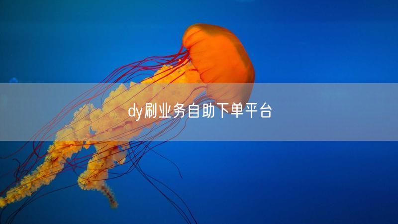 dy刷业务自助下单平台