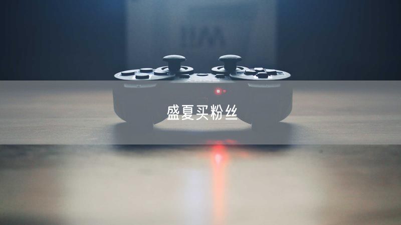 盛夏买粉丝