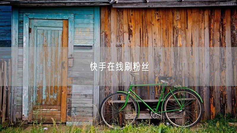 快手在线刷粉丝