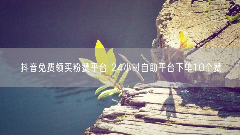 抖音免费领买粉赞平台 24小时自助平台下单10个赞