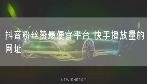 抖音粉丝赞最便宜平台 快手播放量的网址