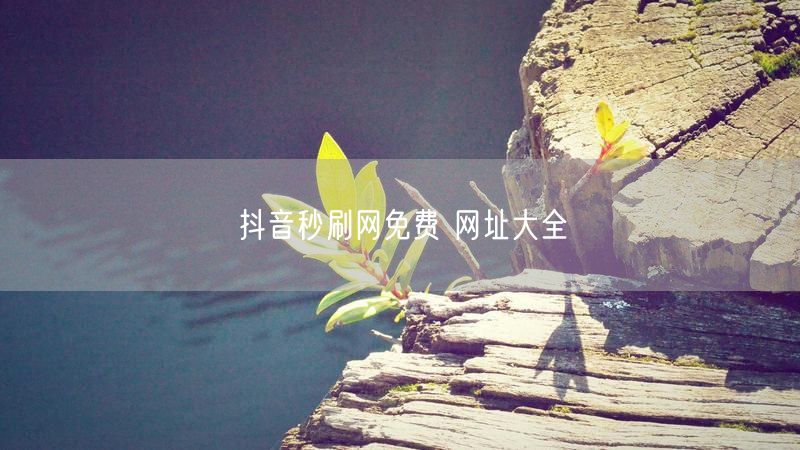 抖音秒刷网免费 网址大全